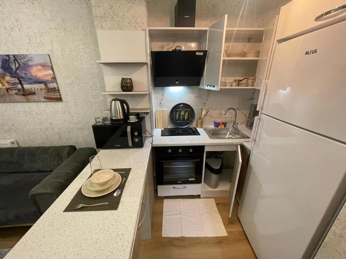 Classic Suite Sh17 Istanbul Apartment